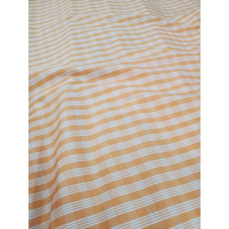 PALAKA PUMPKIN (CREAMSICLE)