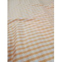 PALAKA PUMPKIN (CREAMSICLE)